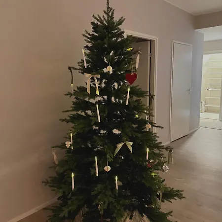 Finnish Design With Outdoor Jacuzzi Rovaniemi