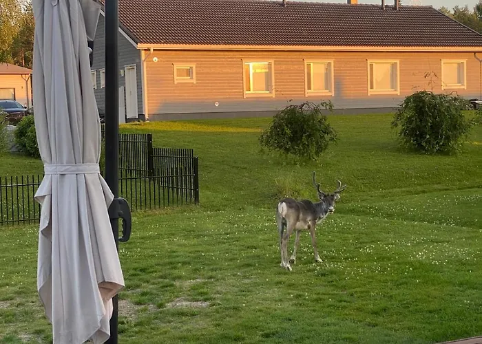 Finnish Design With Outdoor Jacuzzi Rovaniemi